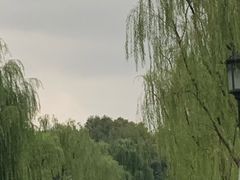 -西湖游船