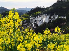 -石潭村