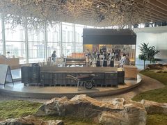 -Seesaw Coffee(朝阳大悦城店)