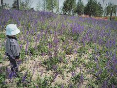 -汉长安城未央宫国家考古遗址公园