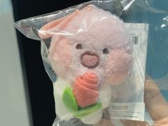 -新罗免税店(济州店)