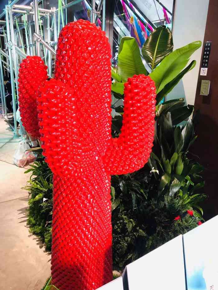 rbt仙踪林-"[调皮][调皮]下班后发现新世界!开在."-大众点评移动版