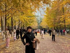 -辽宁大学(崇山校区)