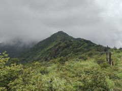 -大围山国家森林公园