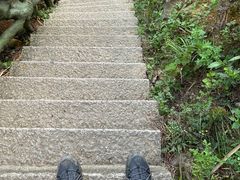 -梧桐山风景名胜区