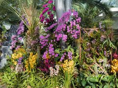 -北京植物园-展览温室