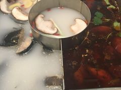 -新辣道鱼火锅(世纪金源购物中心店)