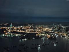 -天龙轩(香港丽思卡尔顿酒店)