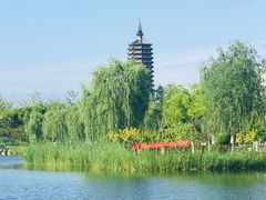 -西海子公园