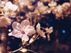 -永乐路-路侧停车场