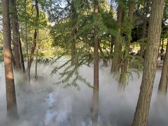 -东湖落雁景区