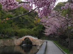 -西安祥峪森林公园