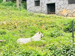 -云南野生动物园