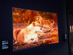 -罗红摄影艺术馆