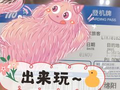 -绵阳南郊机场