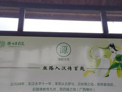 -中华茉莉园