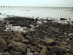 -宝安西湾红树林湿地公园