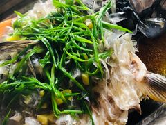 -铁炉农家菜馆