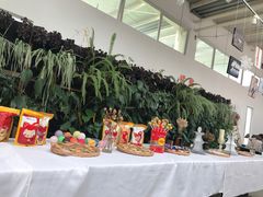 -前小桔亲子创意农场·草莓采摘·露营烧烤