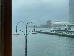 -Cupping Room(Harbour City)