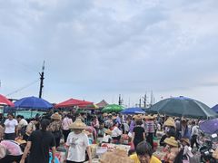 -硇洲岛旅游区