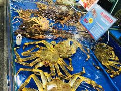 水煮海鲜烩-东江海鲜酒家(艺都分店)