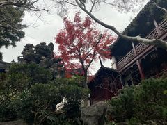 -豫园