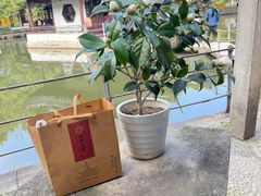 -西园寺素食(西园弄戒幢律寺店)