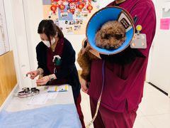 -美联众合动物医院·24h京西诊疗中心