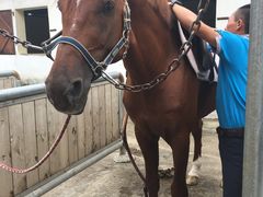 -松声马术俱乐部