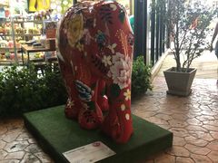 -naraya(玛雅百货店)