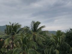 -三亚亚龙湾雅高美爵酒店