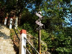 -江西阳明山国家森林公园