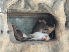 -青藏高原野生动物园