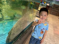 -聚福宝合苑食府(南头镇店)