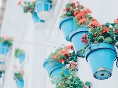 -棒约翰比萨·意面(剑河店)