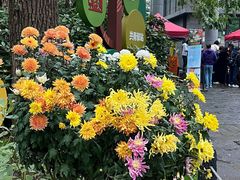 -共青国家森林公园-售票处