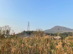 -西湖风景区-江洋畈生态公园