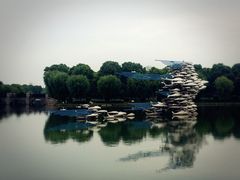 -上海鲜花港
