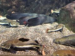 -太平洋海底世界