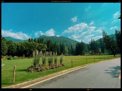 -深圳仙湖植物园