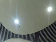 -上海动物园(地铁站)