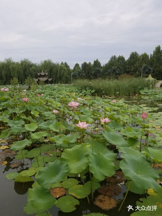 瑞正园农庄图片 - 第17张