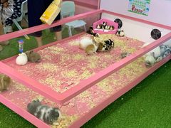 -顺联广场(陈村店)