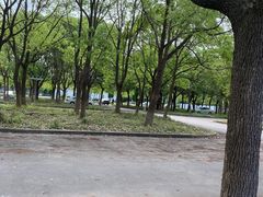 -安飞驰驾校·学车连锁(金高店)