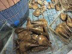 -顺风山庄(水濂山店)