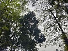 -樱桃山旅游景区