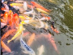 -珠海圆明新园