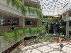 -白天鹅宾馆·流浮阁咖啡厅