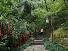 -梦姑塘文化公园